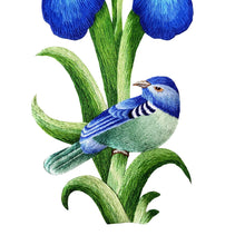 Load image into Gallery viewer, Embroidered blue bird sitting on iris flower, close up view.
