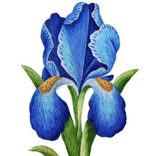 Load image into Gallery viewer, Embroidered blue iris flower, close up view.
