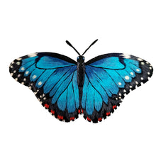 Load image into Gallery viewer, Hand embroidered silk blue Morpho butterfly close up view BoutiqueByMariam.