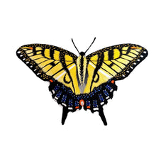 Load image into Gallery viewer, Hand embroidered yellow swallowtail butterfly, close up.
