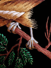 Load image into Gallery viewer, Embroidered bird tapestry, brown hawk embroidered on black velvet, zardozi art, close up view of feathers and talons.

